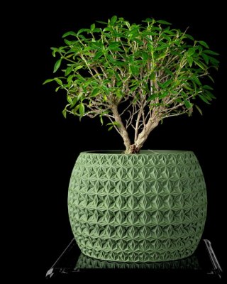 Doniczka 3D Burst - na zamówienie, indywidualna wycena