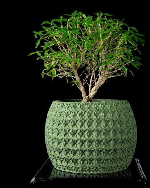 Doniczka 3D Burst - na zamówienie, indywidualna wycena