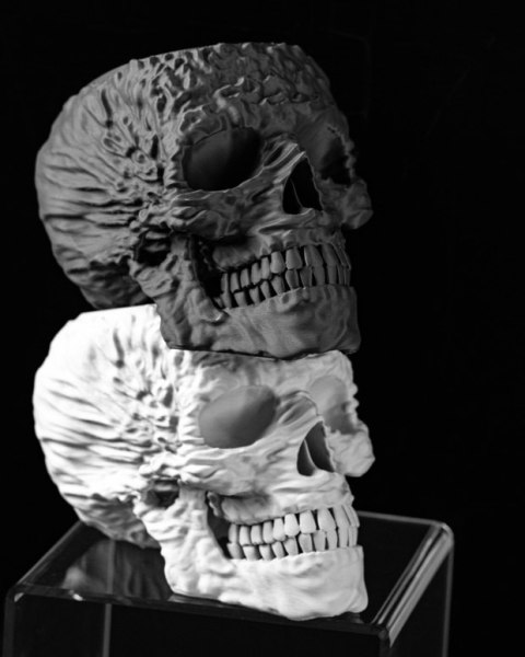 Doniczka 3D Skull - na zamówienie, indywidualna wycena