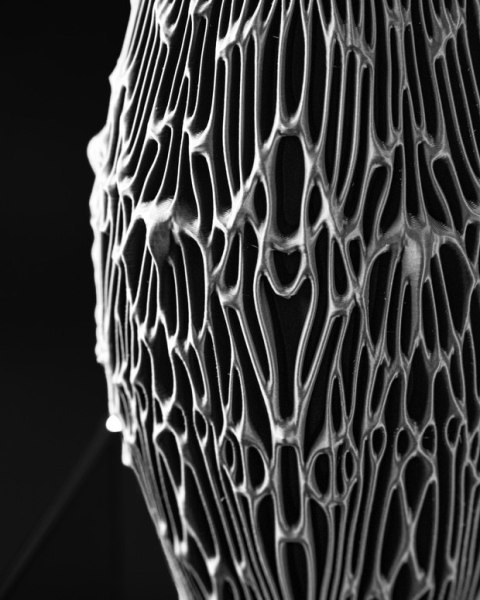 Wazon dekoracyjny 3D Flower Vase 006 - na zamówienie, indywidualna wycena